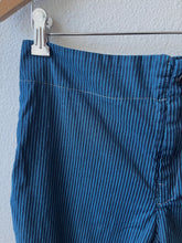 Load image into Gallery viewer, Prairie Underground Stripe Knack Pants in Peacock